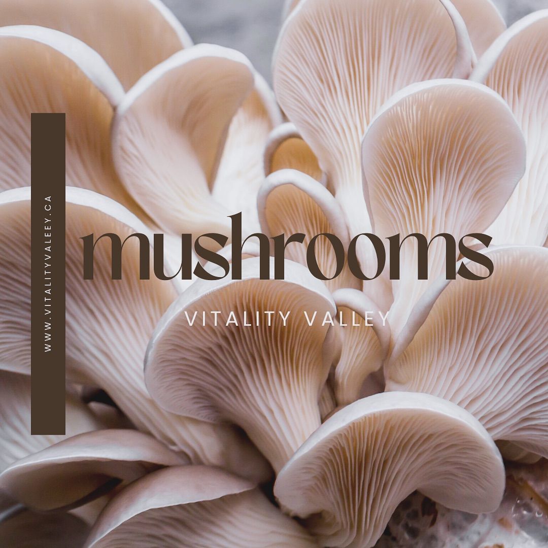 Why Mushrooms Are Nature's Superfood