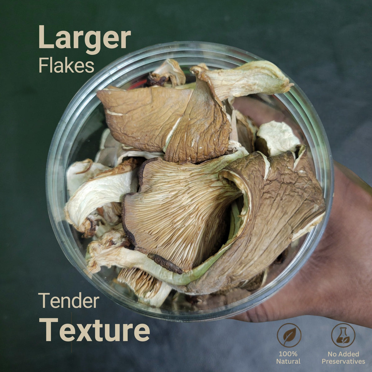Dried Oyster Mushrooms