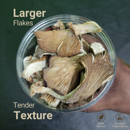 Dried Oyster Mushrooms